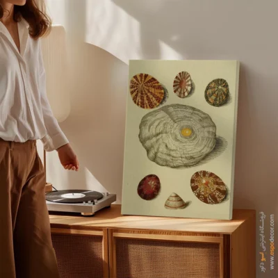 تابلو جانوران دریایی - اسپو دکور