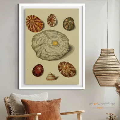 تابلو جانوران دریایی - اسپو دکور