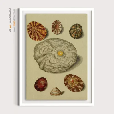 تابلو جانوران دریایی - اسپو دکور