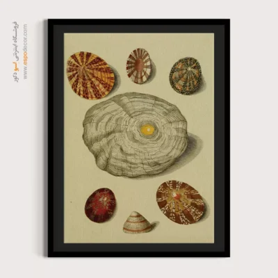 تابلو جانوران دریایی - اسپو دکور