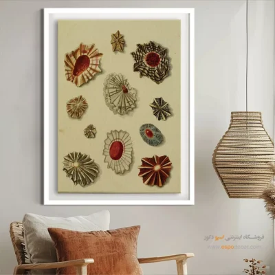 تابلو جانوران دریایی - اسپو دکور