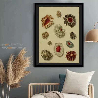 تابلو جانوران دریایی - اسپو دکور