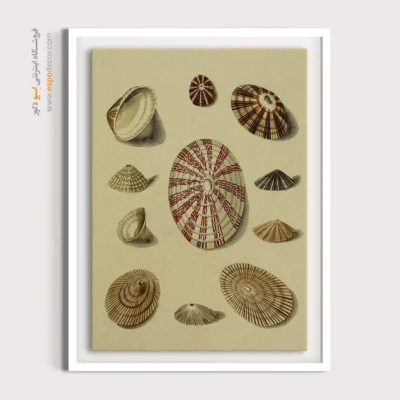 تابلو جانوران دریایی - اسپو دکور