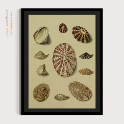 تابلو جانوران دریایی - اسپو دکور