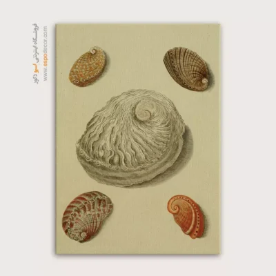 تابلو جانوران دریایی - اسپو دکور