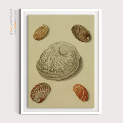 تابلو جانوران دریایی - اسپو دکور