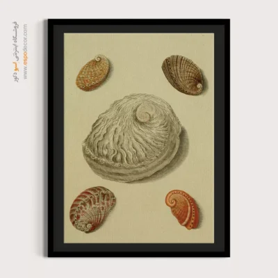 تابلو جانوران دریایی - اسپو دکور