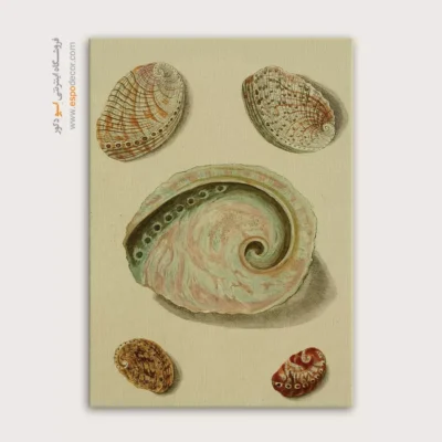 تابلو جانوران دریایی - اسپو دکور