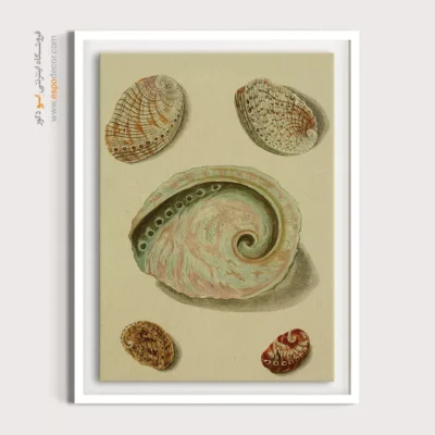 تابلو جانوران دریایی - اسپو دکور