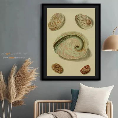 تابلو جانوران دریایی - اسپو دکور