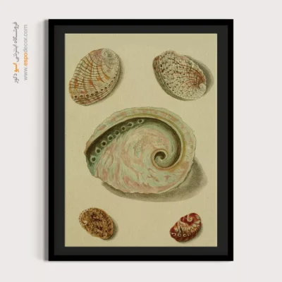 تابلو جانوران دریایی - اسپو دکور