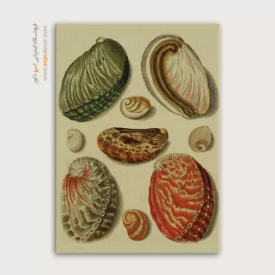 تابلو جانوران دریایی - اسپو دکور