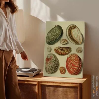 تابلو جانوران دریایی - اسپو دکور