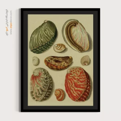 تابلو جانوران دریایی - اسپو دکور