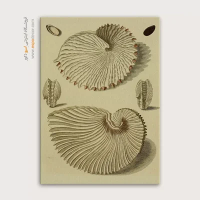 تابلو جانوران دریایی - اسپو دکور