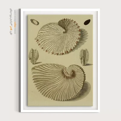 تابلو جانوران دریایی - اسپو دکور