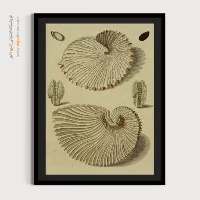 تابلو جانوران دریایی - اسپو دکور