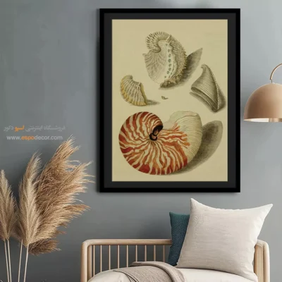 تابلو جانوران دریایی - اسپو دکور