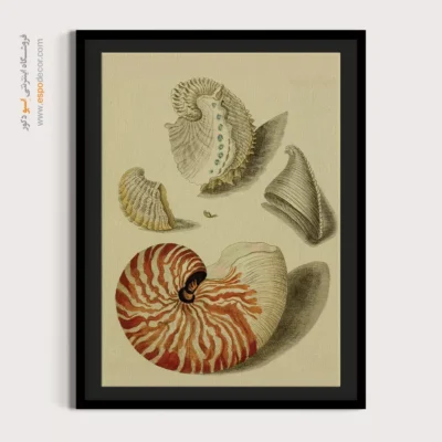 تابلو جانوران دریایی - اسپو دکور