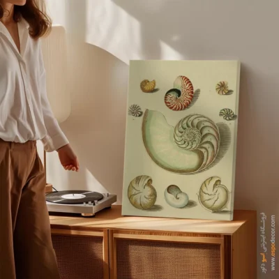 تابلو جانوران دریایی - اسپو دکور