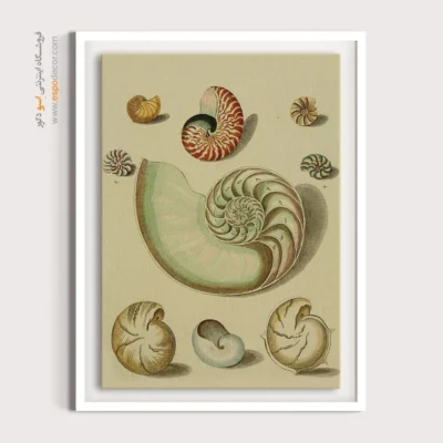 تابلو جانوران دریایی - اسپو دکور