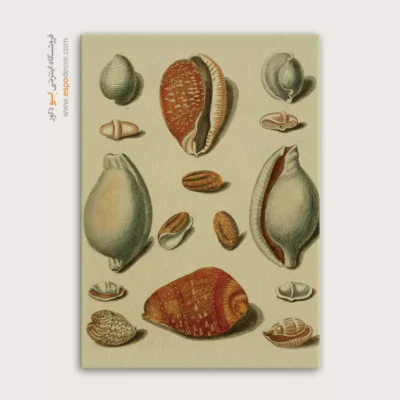 تابلو جانوران دریایی - اسپو دکور