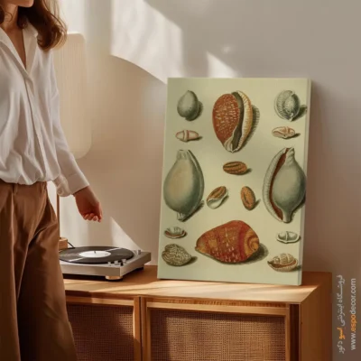 تابلو جانوران دریایی - اسپو دکور