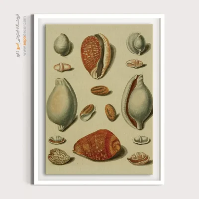 تابلو جانوران دریایی - اسپو دکور