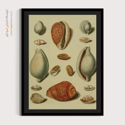 تابلو جانوران دریایی - اسپو دکور