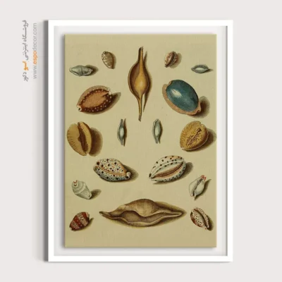 تابلو جانوران دریایی - اسپو دکور