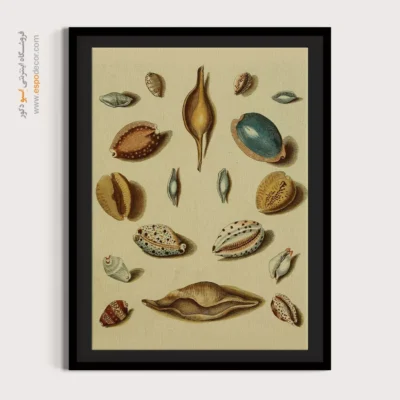 تابلو جانوران دریایی - اسپو دکور