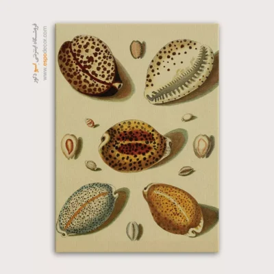تابلو جانوران دریایی - اسپو دکور