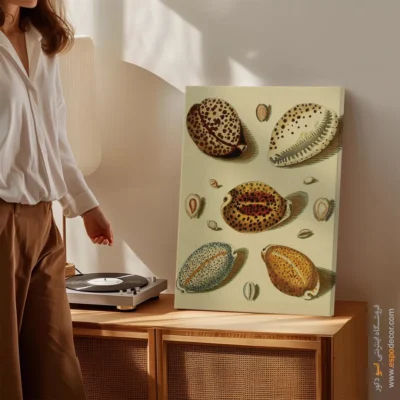 تابلو جانوران دریایی - اسپو دکور