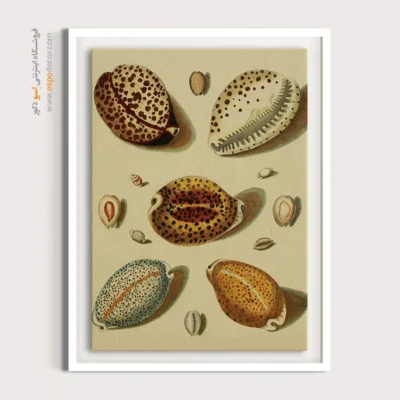 تابلو جانوران دریایی - اسپو دکور