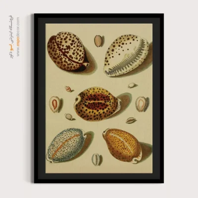 تابلو جانوران دریایی - اسپو دکور