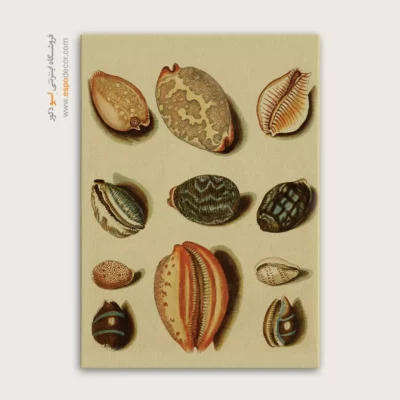 تابلو جانوران دریایی - اسپو دکور