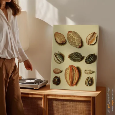 تابلو جانوران دریایی - اسپو دکور