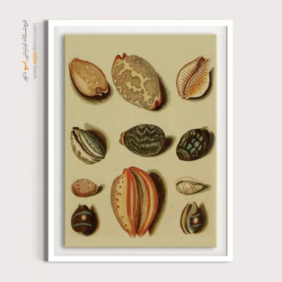 تابلو جانوران دریایی - اسپو دکور