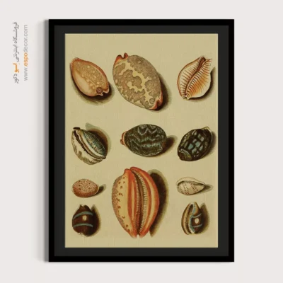 تابلو جانوران دریایی - اسپو دکور