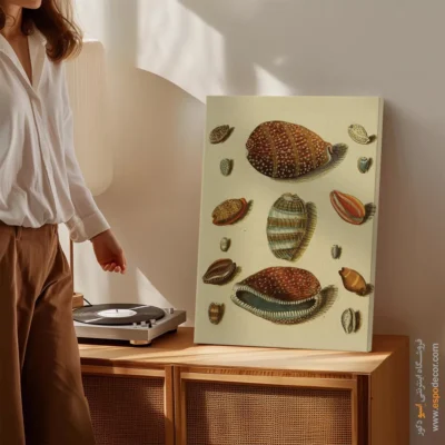 تابلو جانوران دریایی - اسپو دکور