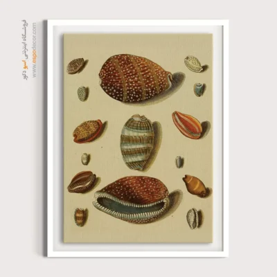 تابلو جانوران دریایی - اسپو دکور