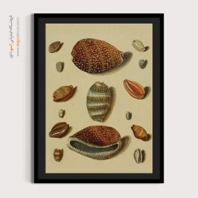 تابلو جانوران دریایی - اسپو دکور