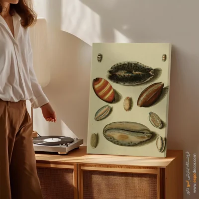 تابلو جانوران دریایی - اسپو دکور