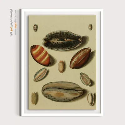 تابلو جانوران دریایی - اسپو دکور