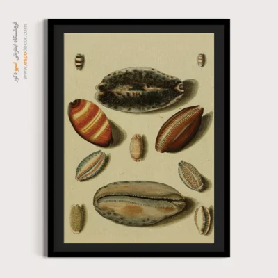 تابلو جانوران دریایی - اسپو دکور