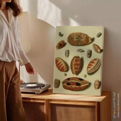 تابلو جانوران دریایی - اسپو دکور