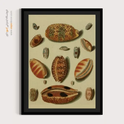 تابلو جانوران دریایی - اسپو دکور