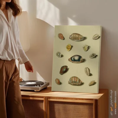 تابلو جانوران دریایی - اسپو دکور