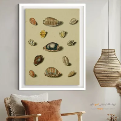تابلو جانوران دریایی - اسپو دکور