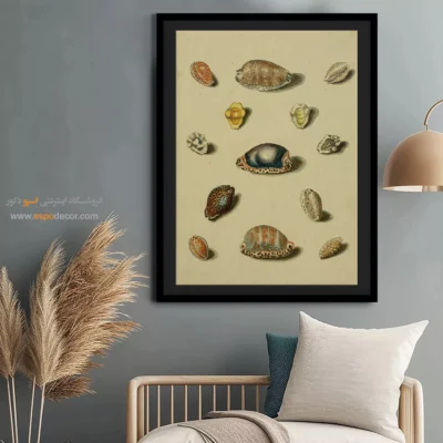 تابلو جانوران دریایی - اسپو دکور